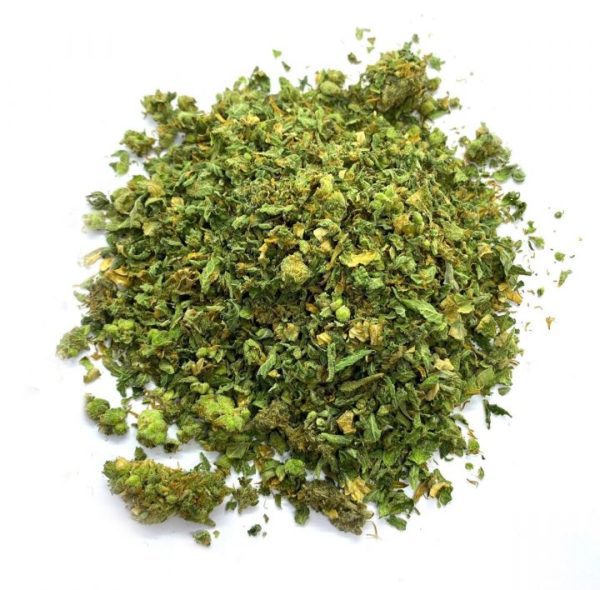 Amnesia Cannabis Shake