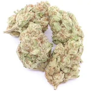 Black Cherry Punch Weed Strain
