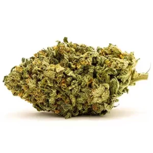 Blue Dream Sativa Weed Strain