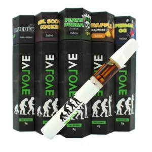 Buy Evolve Disposable Vape Pen 2g