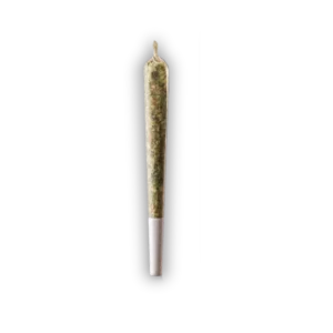 Buy THCa Preroll 1-Gram