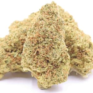 Glueberry OG Strain – Hybrid