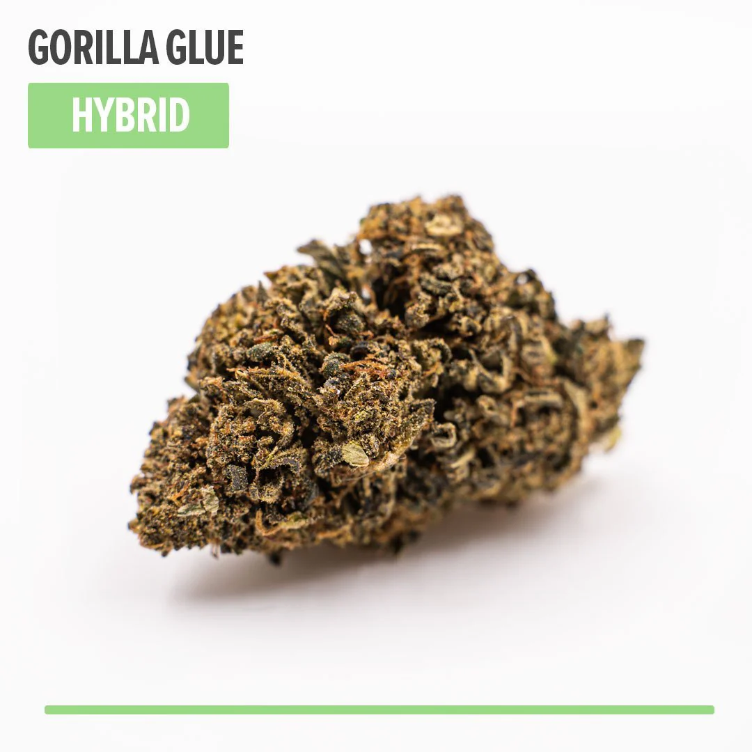 Gorilla Glue Delta 8 THC Weed Hybrid