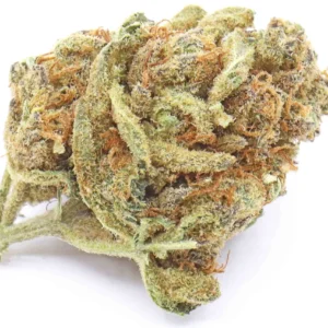 Grape Ape Weed Strain