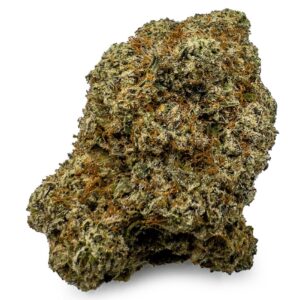 High Society Cannabis Strain