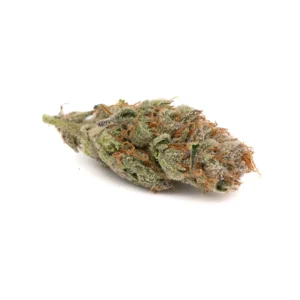 Jelly Donut THCa Weed Flower