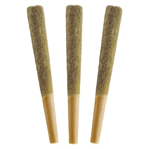 Jungle Fruit Distillate Infused Pre-Rolls 3 Pack