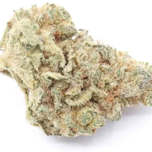 Lemon Haze Strain AAA Small Buds – Sativa Dominant Hybrid