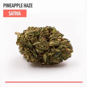 Pineapple Haze Delta 8 THC Weed Flower
