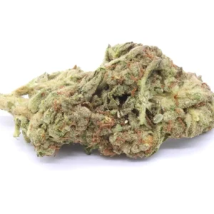 Pink Kush Marijuana Strain