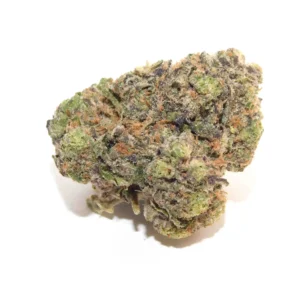 Purple Nurple Weed Strain