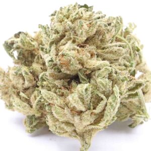 Sour Bubba Cannabis Strain