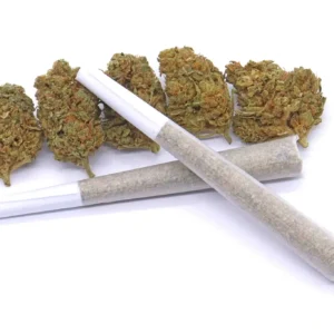Space Queen Strain AAA Pre-Rolls – Hybrid – 1 gram