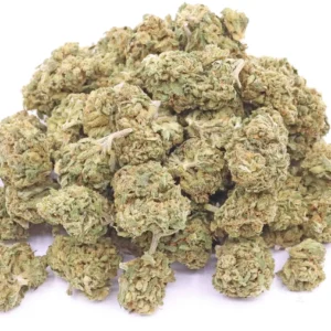 Treasure Island CBD Strain Flower – Sativa