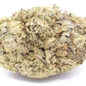 White Castle Weed Strain
